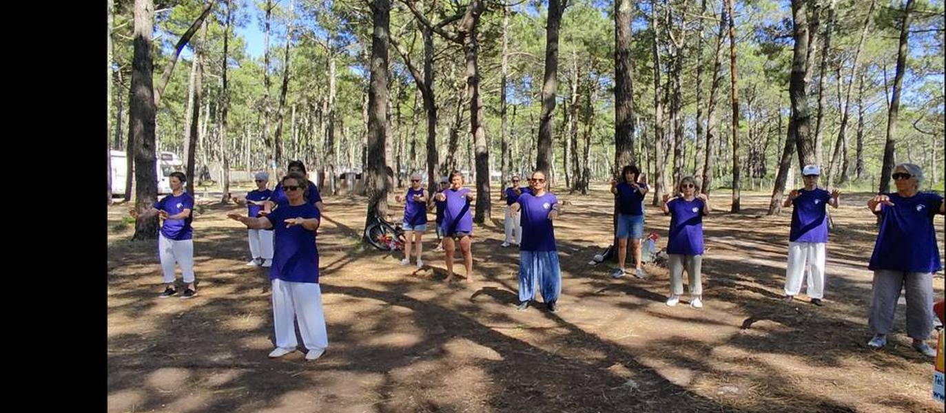 ouverture taichi yang