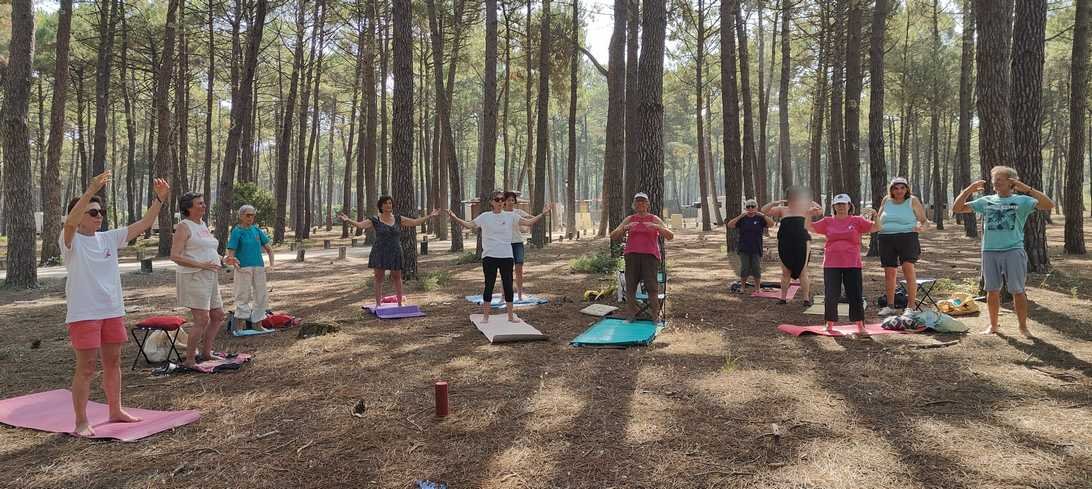 qigong auch26