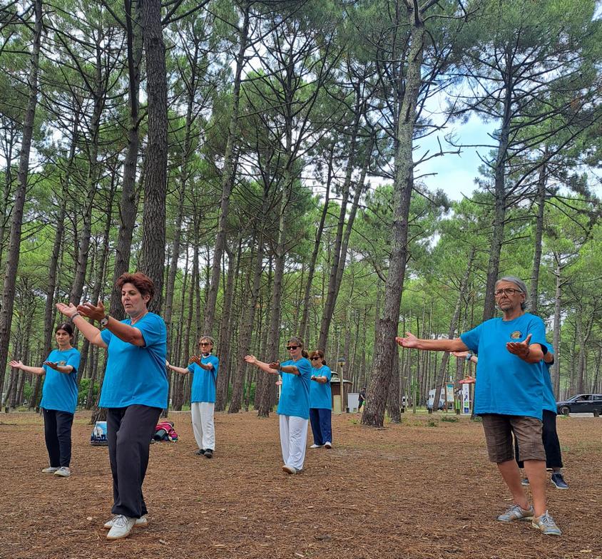 repouserlesinge qigong auch