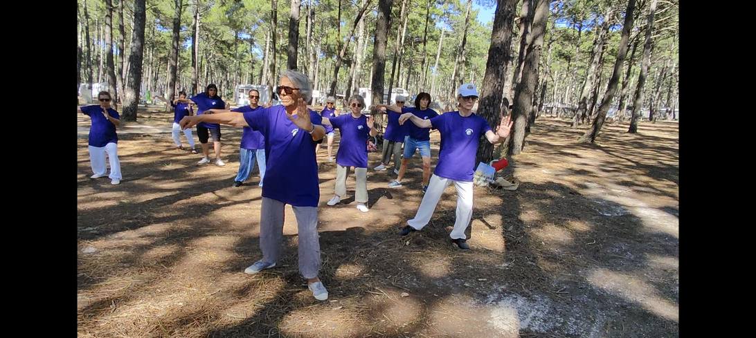 simple fouet auchi auch